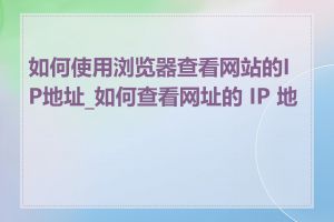 如何使用浏览器查看网站的IP地址_如何查看网址的 IP 地址