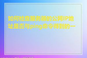 如何检查服务器的公网IP地址是否与ping命令得到的一致