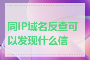 同IP域名反查可以发现什么信息