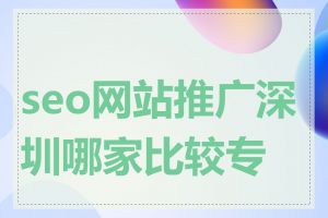 seo网站推广深圳哪家比较专业