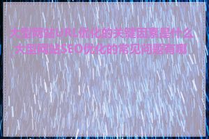 大型网站URL优化的关键因素是什么_大型网站SEO优化的常见问题有哪些