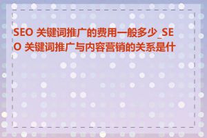 SEO 关键词推广的费用一般多少_SEO 关键词推广与内容营销的关系是什么