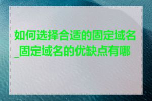 如何选择合适的固定域名_固定域名的优缺点有哪些