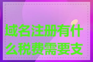 域名注册有什么税费需要支付