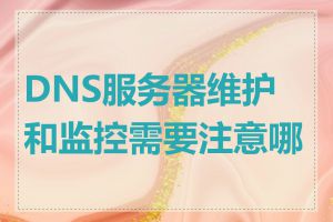 DNS服务器维护和监控需要注意哪些