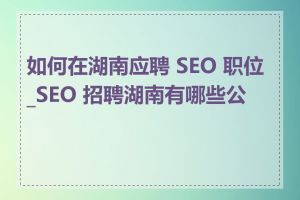 如何在湖南应聘 SEO 职位_SEO 招聘湖南有哪些公司
