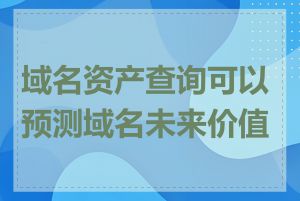 域名资产查询可以预测域名未来价值吗
