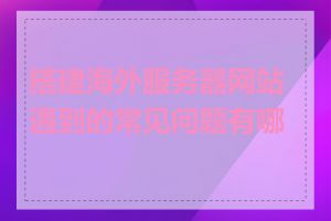 搭建海外服务器网站遇到的常见问题有哪些