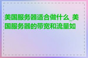 美国服务器适合做什么_美国服务器的带宽和流量如何
