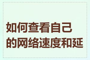 如何查看自己的网络速度和延迟