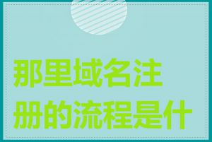 那里域名注册的流程是什么