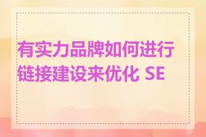 有实力品牌如何进行链接建设来优化 SEO