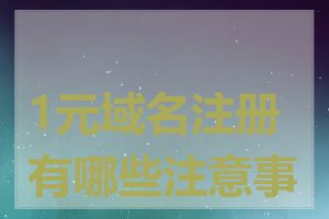 1元域名注册有哪些注意事项