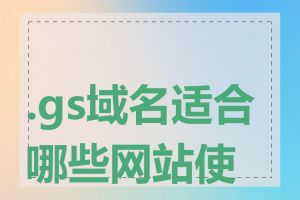 .gs域名适合哪些网站使用
