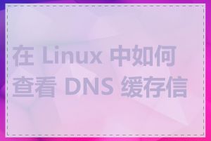 在 Linux 中如何查看 DNS 缓存信息