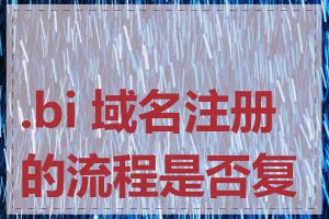 .bi 域名注册的流程是否复杂