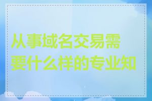 从事域名交易需要什么样的专业知识