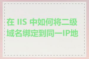 在 IIS 中如何将二级域名绑定到同一IP地址