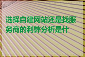 选择自建网站还是找服务商的利弊分析是什么