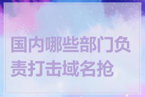 国内哪些部门负责打击域名抢注