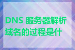 DNS 服务器解析域名的过程是什么