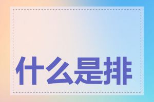 什么是排名精灵优化
