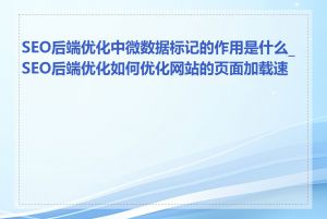 SEO后端优化中微数据标记的作用是什么_SEO后端优化如何优化网站的页面加载速度