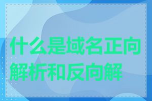 什么是域名正向解析和反向解析