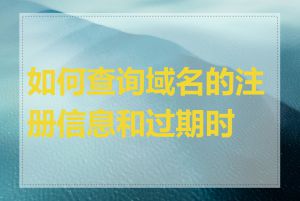 如何查询域名的注册信息和过期时间