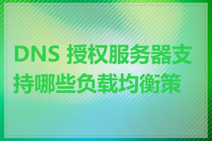 DNS 授权服务器支持哪些负载均衡策略