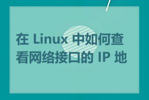 在 Linux 中如何查看网络接口的 IP 地址