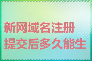 新网域名注册提交后多久能生效