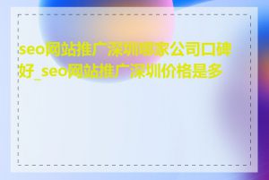 seo网站推广深圳哪家公司口碑好_seo网站推广深圳价格是多少