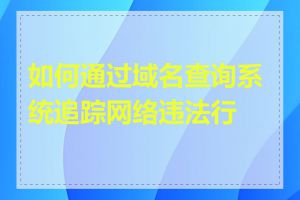 如何通过域名查询系统追踪网络违法行为