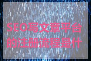 SEO写文章平台的注册流程是什么