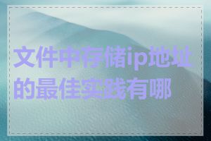 文件中存储ip地址的最佳实践有哪些