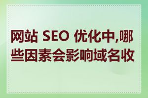 网站 SEO 优化中,哪些因素会影响域名收录