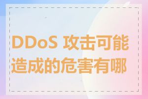 DDoS 攻击可能造成的危害有哪些