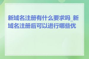 新域名注册有什么要求吗_新域名注册后可以进行哪些优化