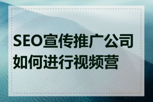 SEO宣传推广公司如何进行视频营销