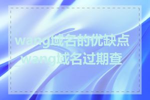 wang域名的优缺点_wang域名过期查询