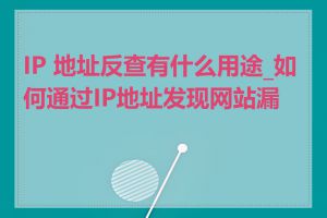 IP 地址反查有什么用途_如何通过IP地址发现网站漏洞