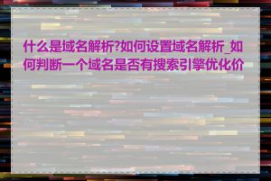 什么是域名解析?如何设置域名解析_如何判断一个域名是否有搜索引擎优化价值