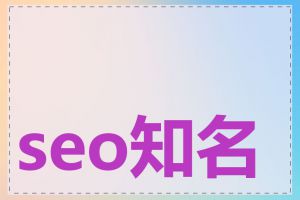 seo知名公司有哪些