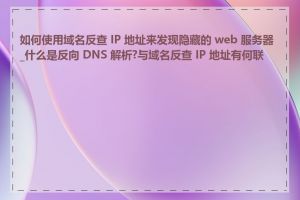 如何使用域名反查 IP 地址来发现隐藏的 web 服务器_什么是反向 DNS 解析?与域名反查 IP 地址有何联系