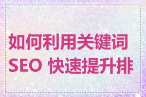 如何利用关键词 SEO 快速提升排名