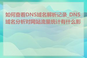如何查看DNS域名解析记录_DNS域名分析对网站流量统计有什么影响
