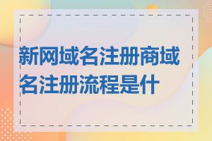 新网域名注册商域名注册流程是什么