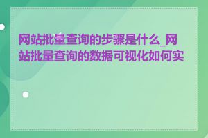 网站批量查询的步骤是什么_网站批量查询的数据可视化如何实现