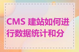 CMS 建站如何进行数据统计和分析